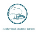 Meadowbrook Insurance - Christian Huth logo